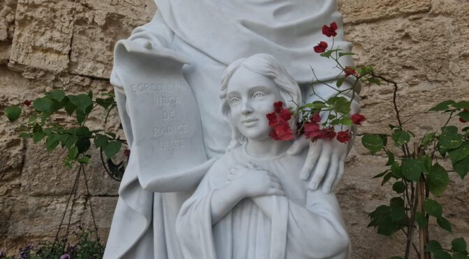 CARICIAS DE UNA SANTA RITA